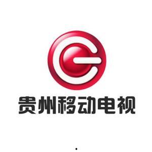 贵州娱乐频道,聚焦多彩贵州，畅享欢乐时光