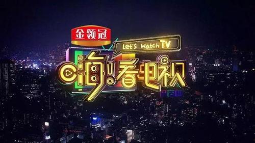 嗨看电视背景节目名字,揭秘热门背景节目背后的故事