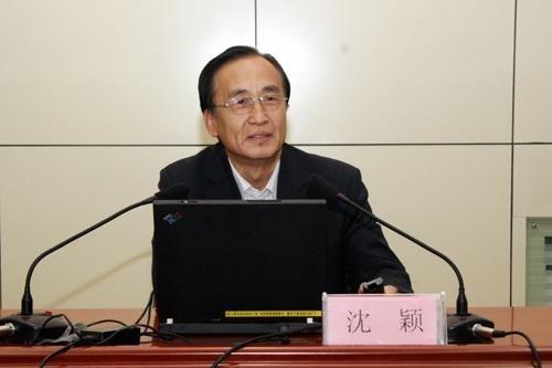 演员沈颖,光影交织下的璀璨星途