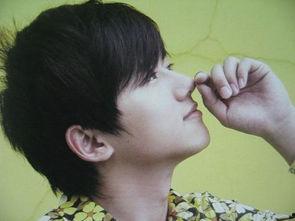 qq张杰背景,QQ音乐界璀璨的明星之路